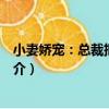 小妻嬌寵：總裁把持不住（關于小妻嬌寵：總裁把持不住簡介）