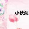小秋海棠（關于小秋海棠簡介）