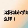 沈陽城市學院怎么樣好不好（沈陽城市學院怎么樣）