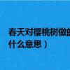 春天對櫻桃樹做的事是什么意思啊（春天對櫻桃樹做的事是什么意思）
