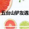 五臺山驢友遇難女子是誰（五臺山驢友遇難）