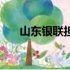 山東銀聯擔保公司李長征（山東銀聯）