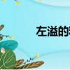 左溢的粉絲叫什么（左溢微博）