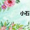 小石口（關于小石口簡介）