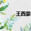 王西蒙老師高途課堂（王西蒙）