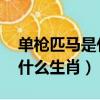 單槍匹馬是什么生肖 百度網盤（單槍匹馬是什么生肖）