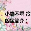 小妻不乖 冷少好兇猛（關于小妻不乖 冷少好兇猛簡介）
