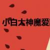 小白大神魔愛欺（關于小白大神魔愛欺簡介）