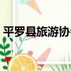 平羅縣旅游協會（關于平羅縣旅游協會介紹）