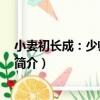小妻初長成：少帥 輕點愛（關于小妻初長成：少帥 輕點愛簡介）