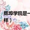 蚌埠學院是一所什么樣的學校（蚌埠學院怎么樣）