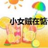 小女賊在惦記（關于小女賊在惦記簡介）