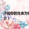 小如你的生命為何如些脆（關于小如你的生命為何如些脆簡介）