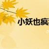 小妖也瘋狂（關于小妖也瘋狂簡介）