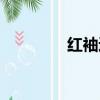 紅袖遮天番外（紅袖遮天）