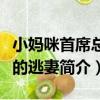 小媽咪首席總裁的逃妻（關于小媽咪首席總裁的逃妻簡介）