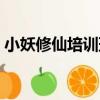 小妖修仙培訓班（關于小妖修仙培訓班簡介）