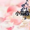 小貓釣魚（關于小貓釣魚簡介）