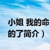 小姐 我的命是您的了（關于小姐 我的命是您的了簡介）