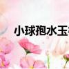 小球孢水玉霉（關于小球孢水玉霉簡介）