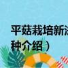 平菇栽培新法150種（關于平菇栽培新法150種介紹）