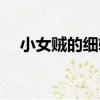 小女賊的細軟（關于小女賊的細軟簡介）