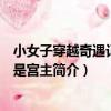 小女子穿越奇遇記：我是宮主（關于小女子穿越奇遇記：我是宮主簡介）