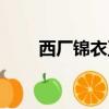 西廠錦衣衛免費觀看（西廠錦衣衛）