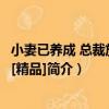 小妻已養成 總裁放心寵[精品]（關于小妻已養成 總裁放心寵[精品]簡介）