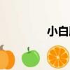 小白臉（關于小白臉簡介）