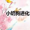 小奶狗進化論（關于小奶狗進化論簡介）
