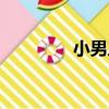 小男人（關于小男人簡介）
