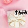小貓玫瑰（關于小貓玫瑰簡介）