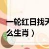 一輪紅日找天邊打一動物（一輪紅日找天邊什么生肖）