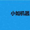 小如機器人（關于小如機器人簡介）