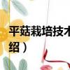 平菇栽培技術圖說（關于平菇栽培技術圖說介紹）
