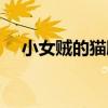 小女賊的貓膩（關于小女賊的貓膩簡介）