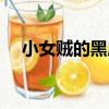 小女賊的黑店（關于小女賊的黑店簡介）