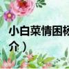 小白菜情困楊乃武（關于小白菜情困楊乃武簡介）