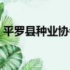 平羅縣種業協會（關于平羅縣種業協會介紹）