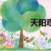 天陽觀筑戶型圖（天陽觀筑）