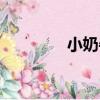 小奶牛（關于小奶牛簡介）