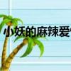 小妖的麻辣愛情（關于小妖的麻辣愛情簡介）