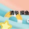 清華 摸魚學（清華為何能開摸魚學）
