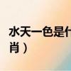 水天一色是什么生肖動物（水天一色是什么生肖）