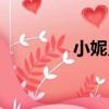 小妮兒（關于小妮兒簡介）