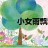 小女雨飄飄（關于小女雨飄飄簡介）