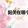 陽關在哪個省哪個市（陽關在哪個省）