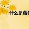 什么是藏傳佛教?（什么是藏傳佛教）