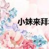 小妹來拜年（關于小妹來拜年簡介）